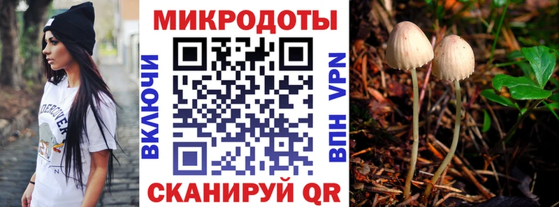 OMG как зайти  Усмань  Галлюциногенные грибы Psilocybe  закладки 
